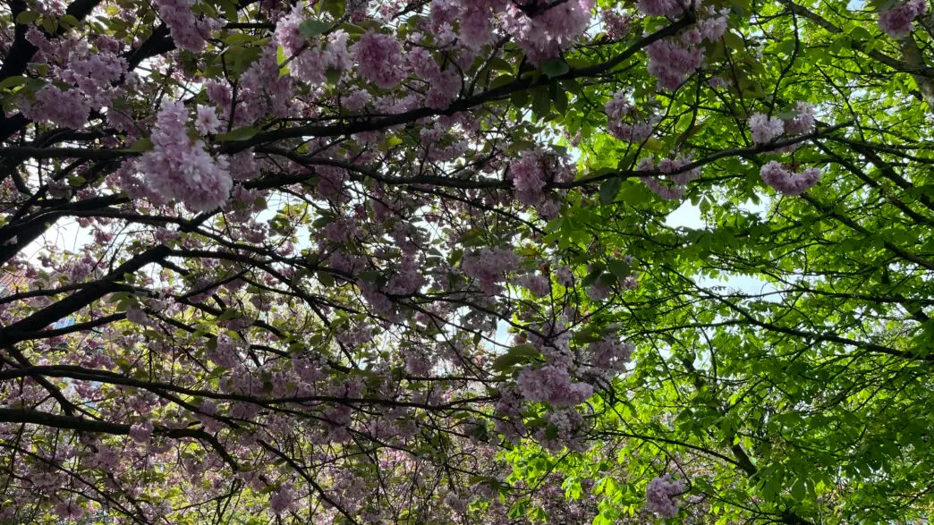 Når nogen snyder kommunen, går det ud over for dem, der virkelig har brug for hjælp – og det er respektløst, mener Henrik Kragelund