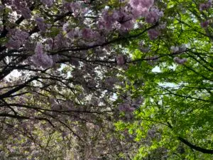 Når nogen snyder kommunen, går det ud over for dem, der virkelig har brug for hjælp – og det er respektløst, mener Henrik Kragelund