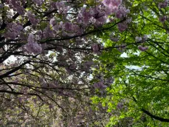 Når nogen snyder kommunen, går det ud over for dem, der virkelig har brug for hjælp – og det er respektløst, mener Henrik Kragelund