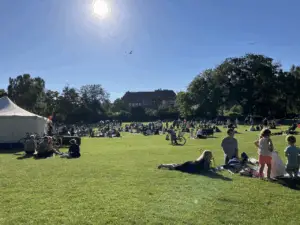 Din stemme kan få afgørende indflydelse på din hverdag på Frederiksberg.